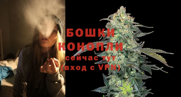 спиды Куровское