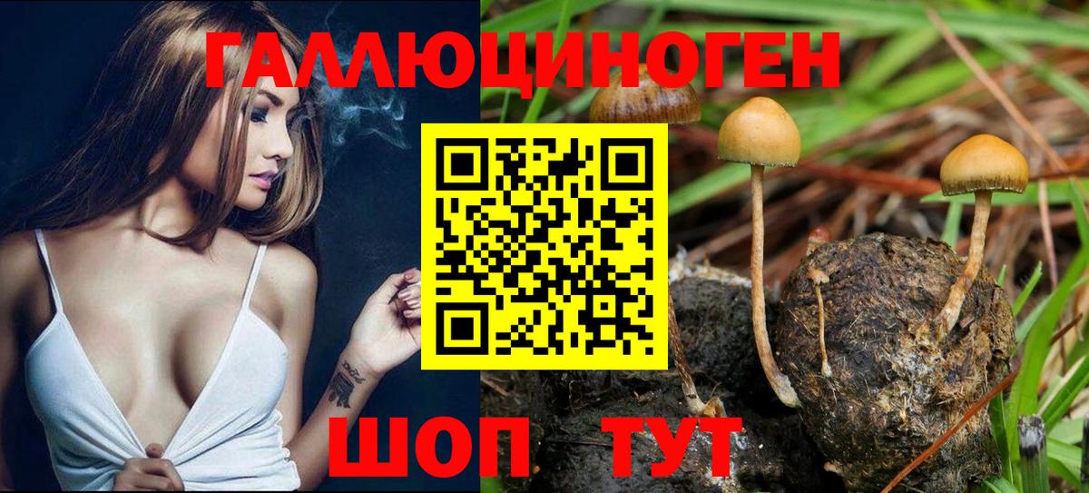 Галлюциногенные грибы Psilocybine cubensis  Галлюциногенные грибы ЛСД  Углич  Вход с VPN 