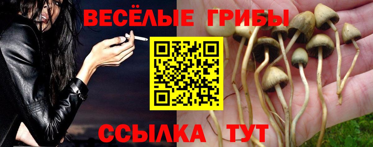 Псилоцибиновые грибы прущие грибы Углич