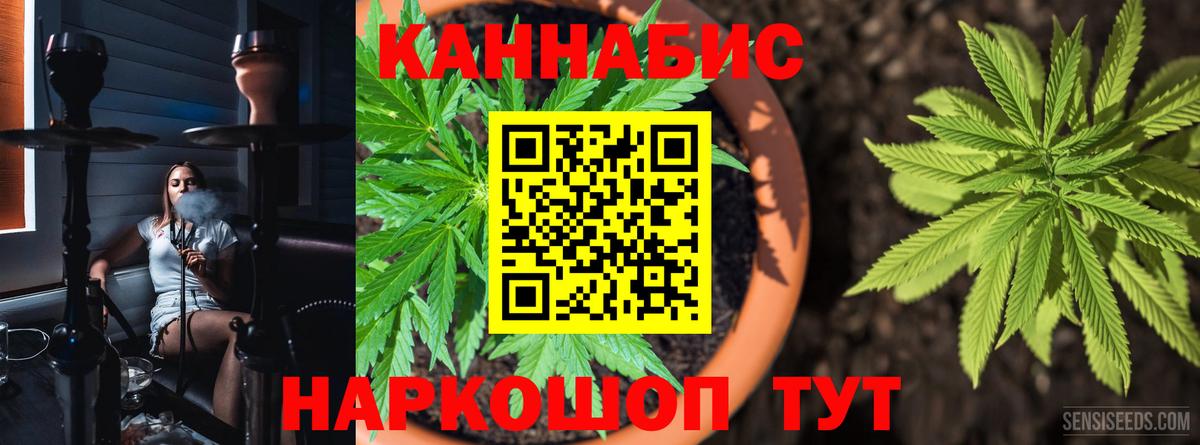 МАРИХУАНА SATIVA & INDICA Углич